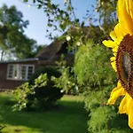 Marschkieker - Kleiner Deichhof Hattstedtermarsch