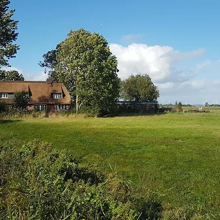 Marschkieker - Kleiner Deichhof Hattstedtermarsch