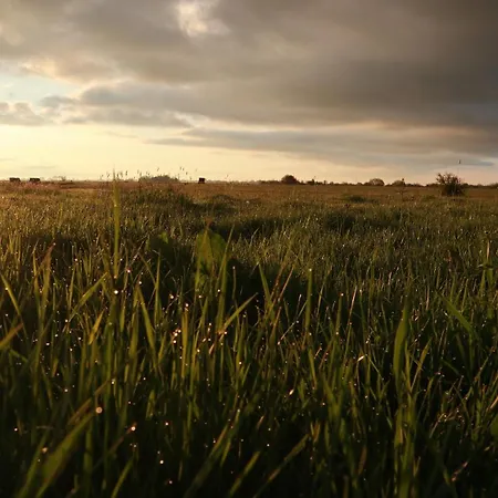 Apartmán Marschkieker - Kleiner Deichhof Hattstedtermarsch